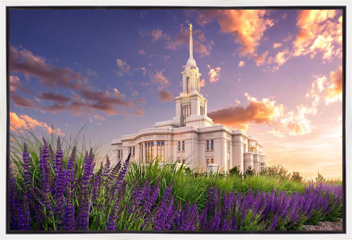 Payson Temple Blooming Lavender