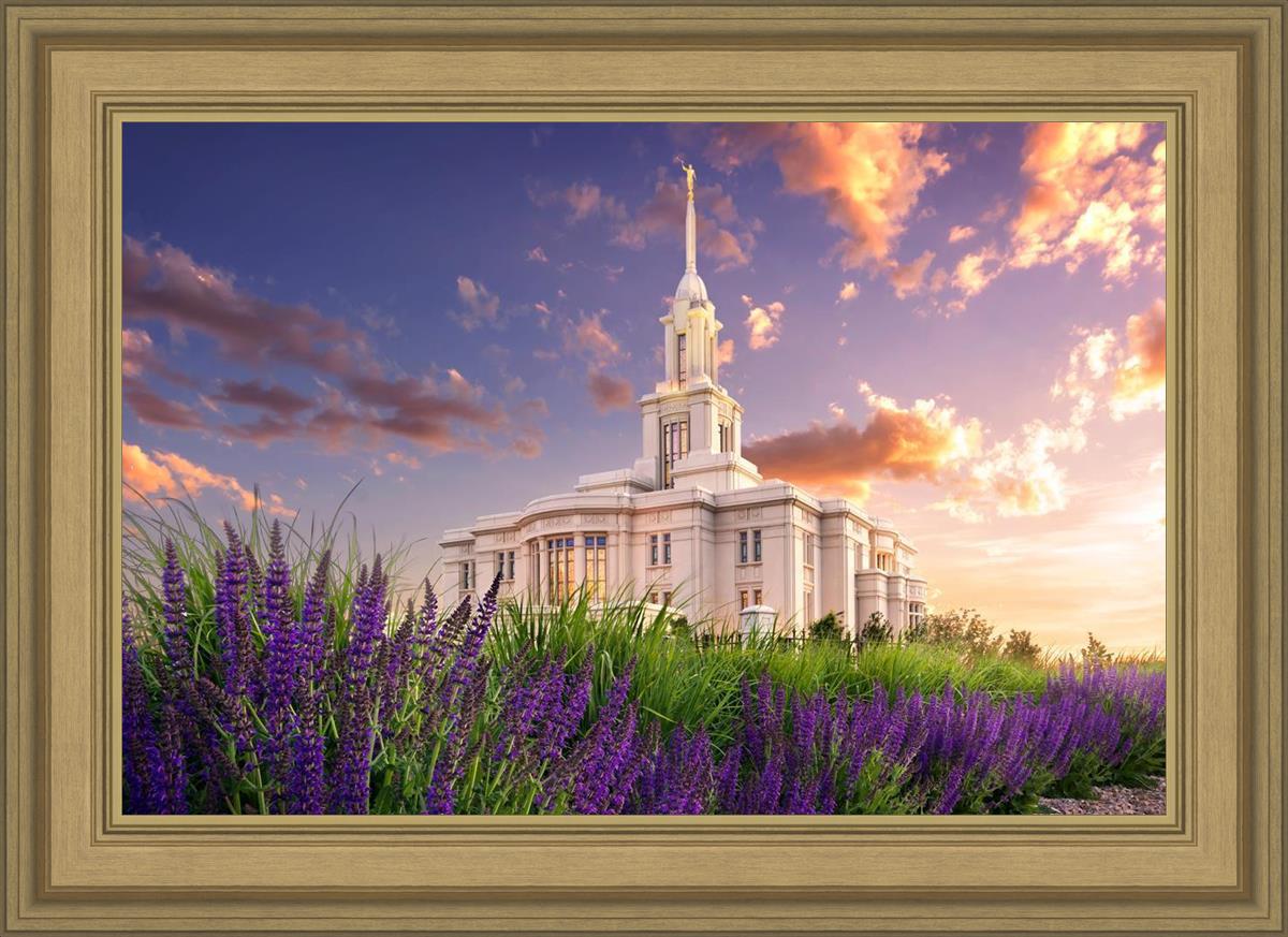 Payson Temple Blooming Lavender