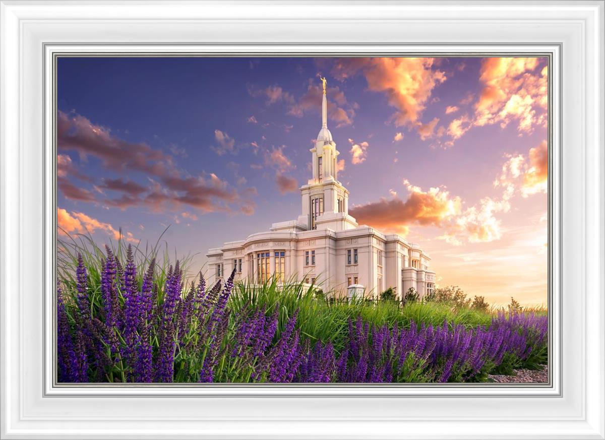 Payson Temple Blooming Lavender