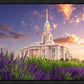 Payson Temple Blooming Lavender