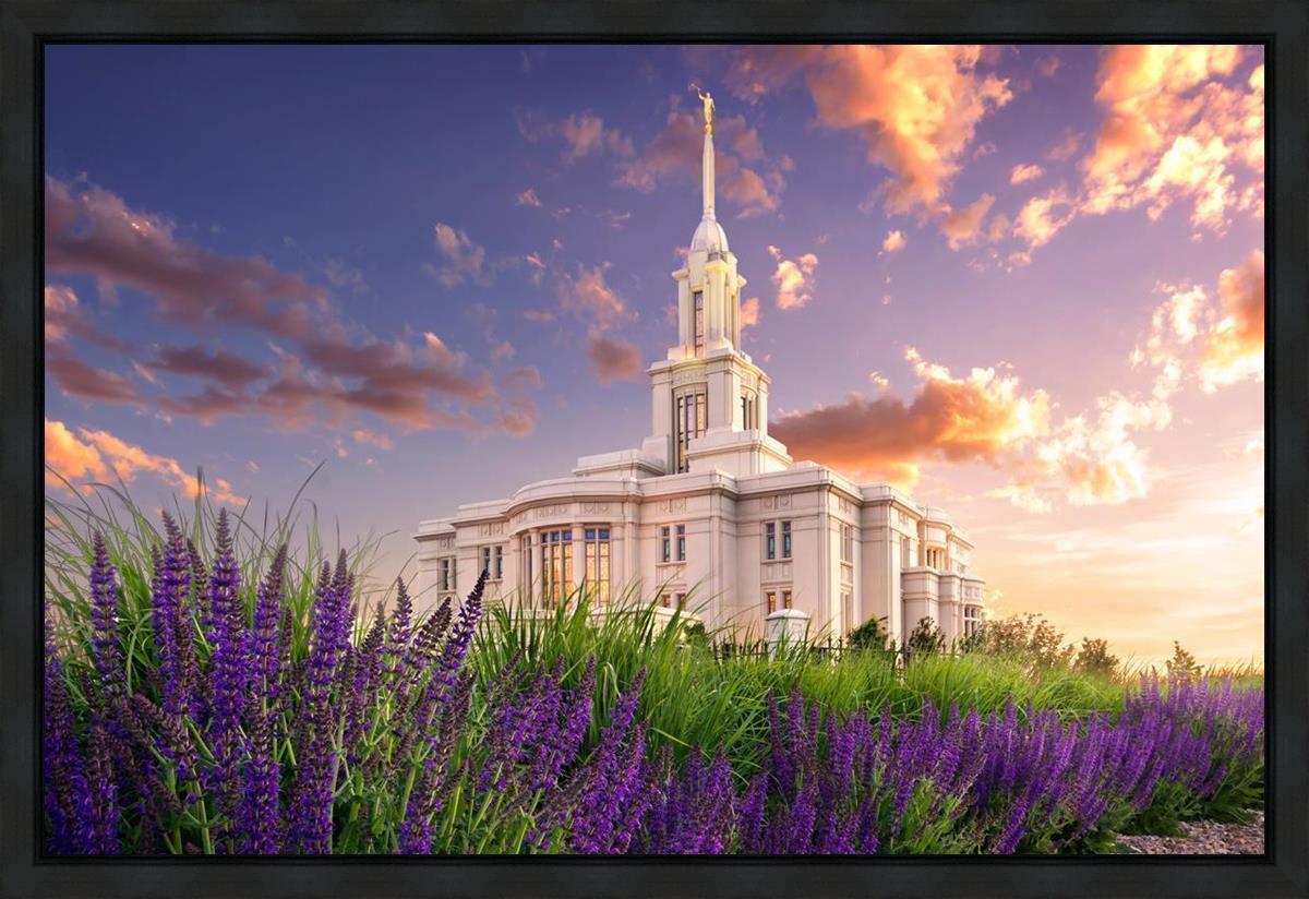 Payson Temple Blooming Lavender