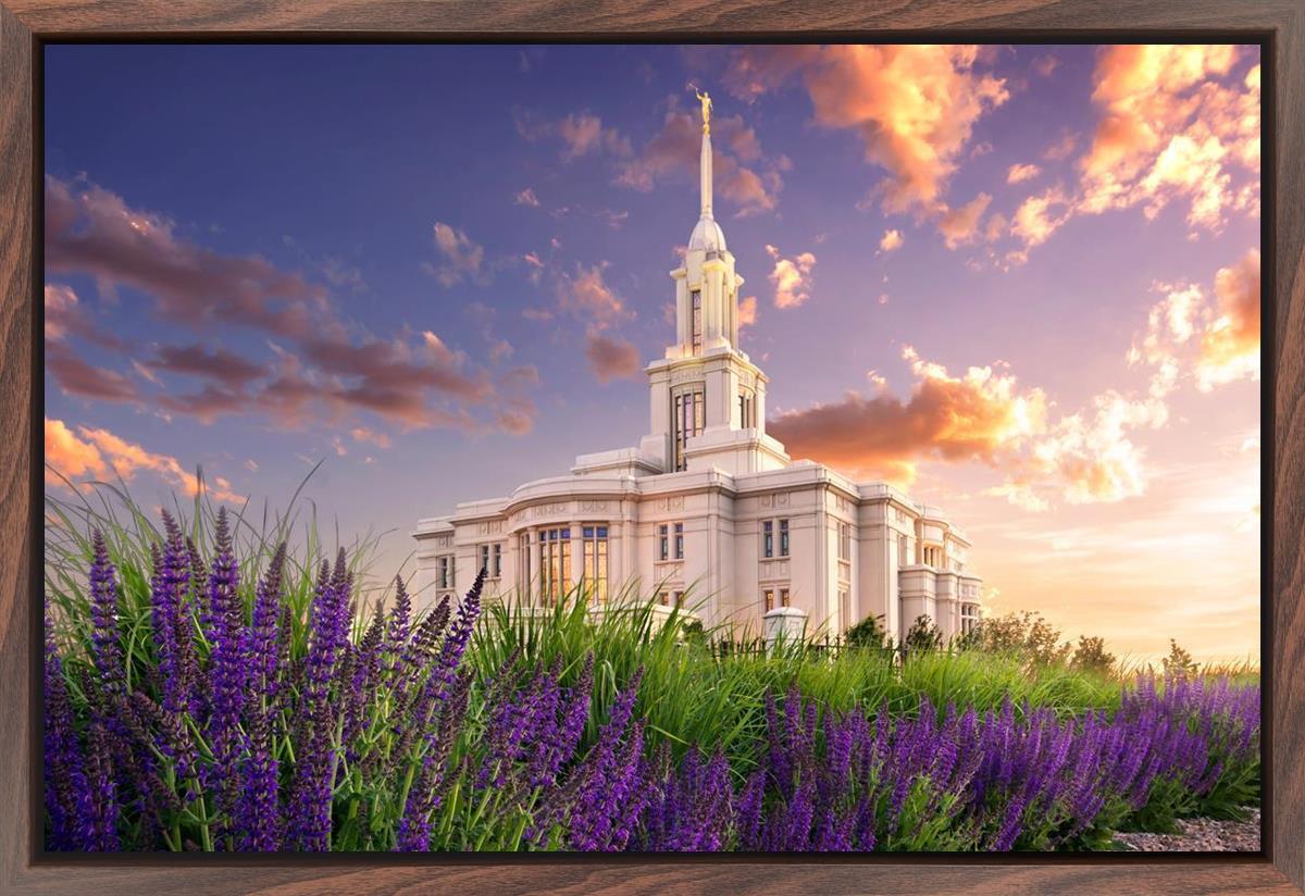 Payson Temple Blooming Lavender