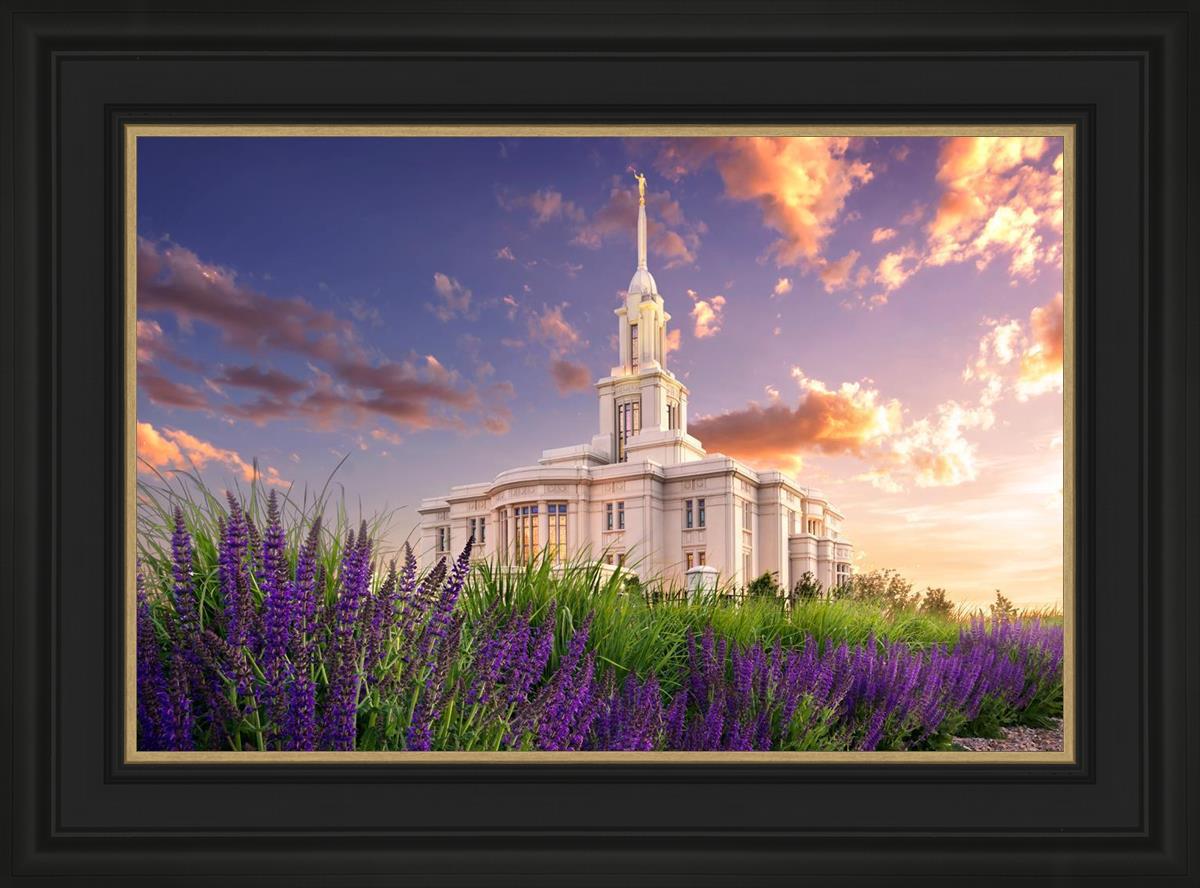 Payson Temple Blooming Lavender