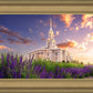 Payson Temple Blooming Lavender