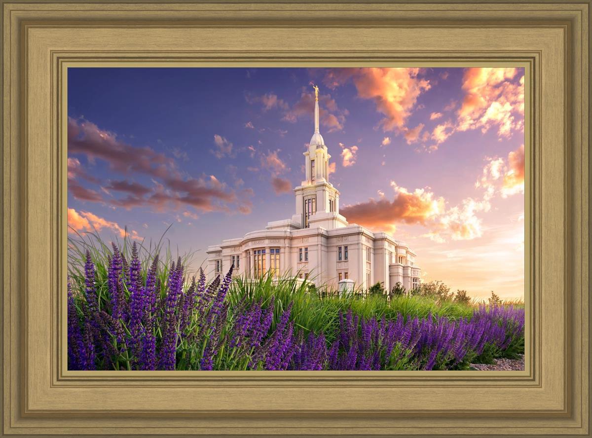 Payson Temple Blooming Lavender