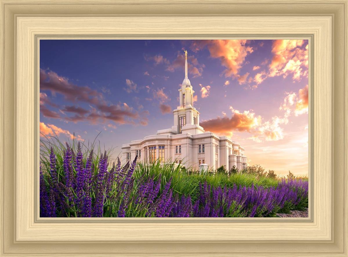 Payson Temple Blooming Lavender