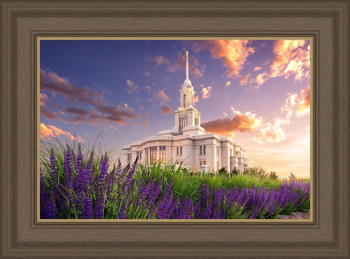 Payson Temple Blooming Lavender