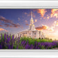Payson Temple Blooming Lavender
