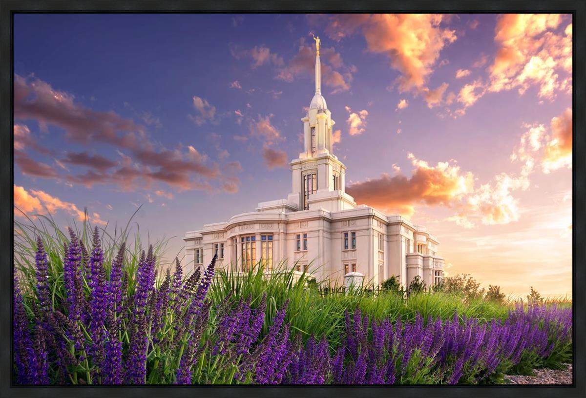 Payson Temple Blooming Lavender