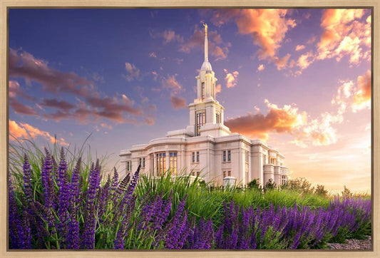 Payson Temple Blooming Lavender