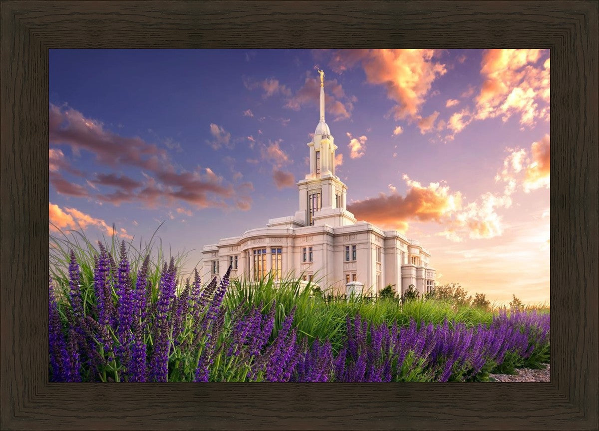 Payson Temple Blooming Lavender
