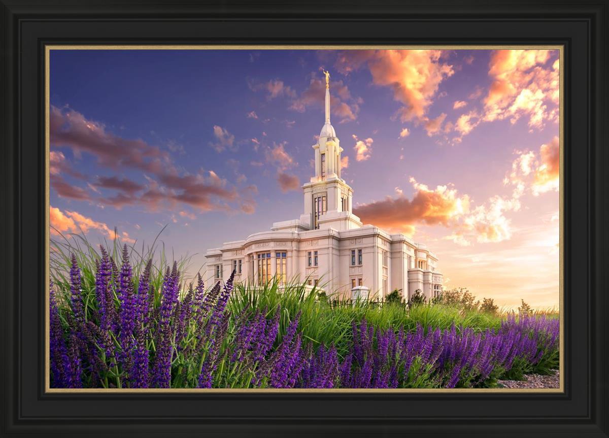 Payson Temple Blooming Lavender
