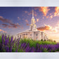 Payson Temple Blooming Lavender