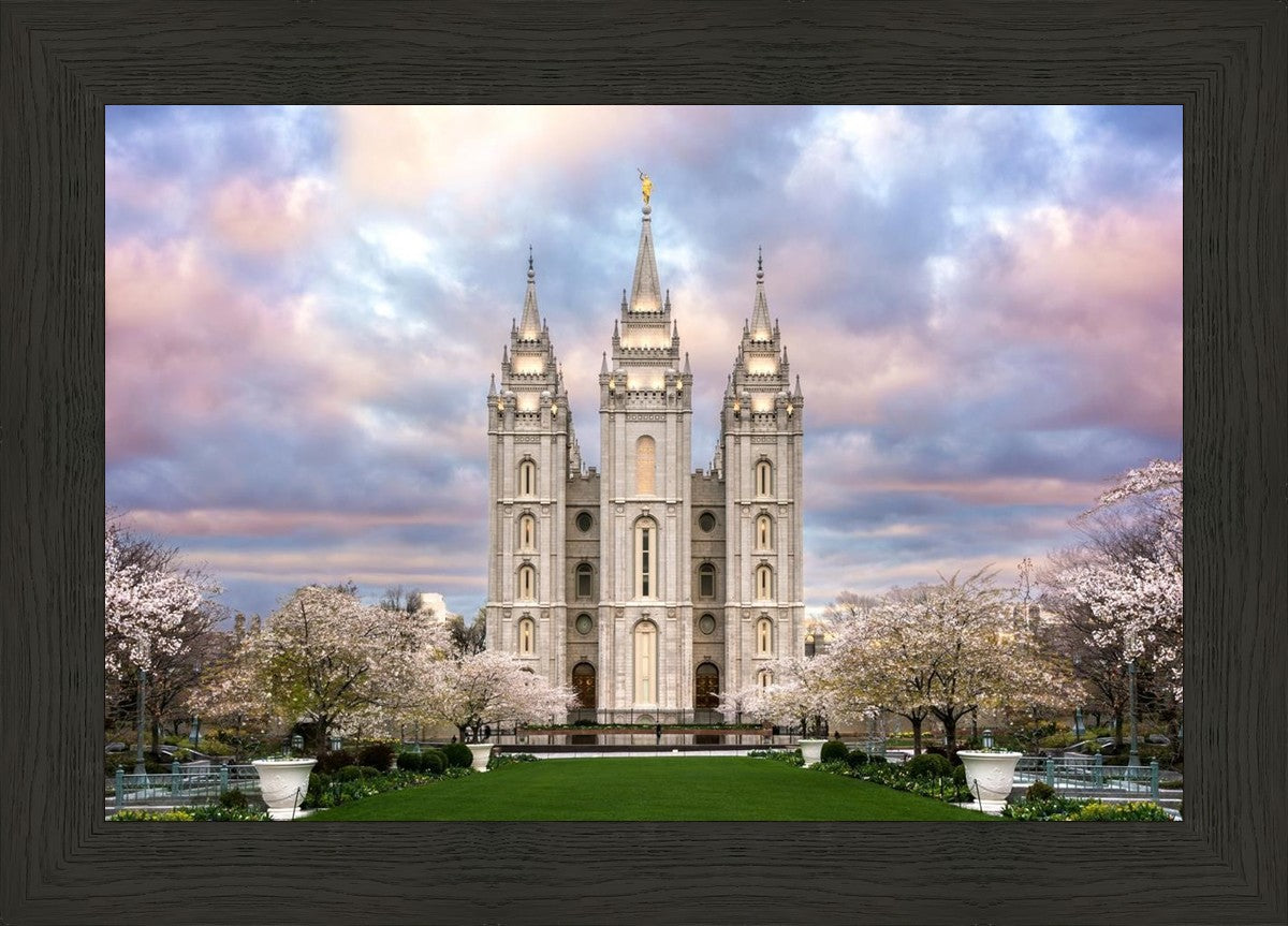 Salt Lake a Glimpse of Heaven