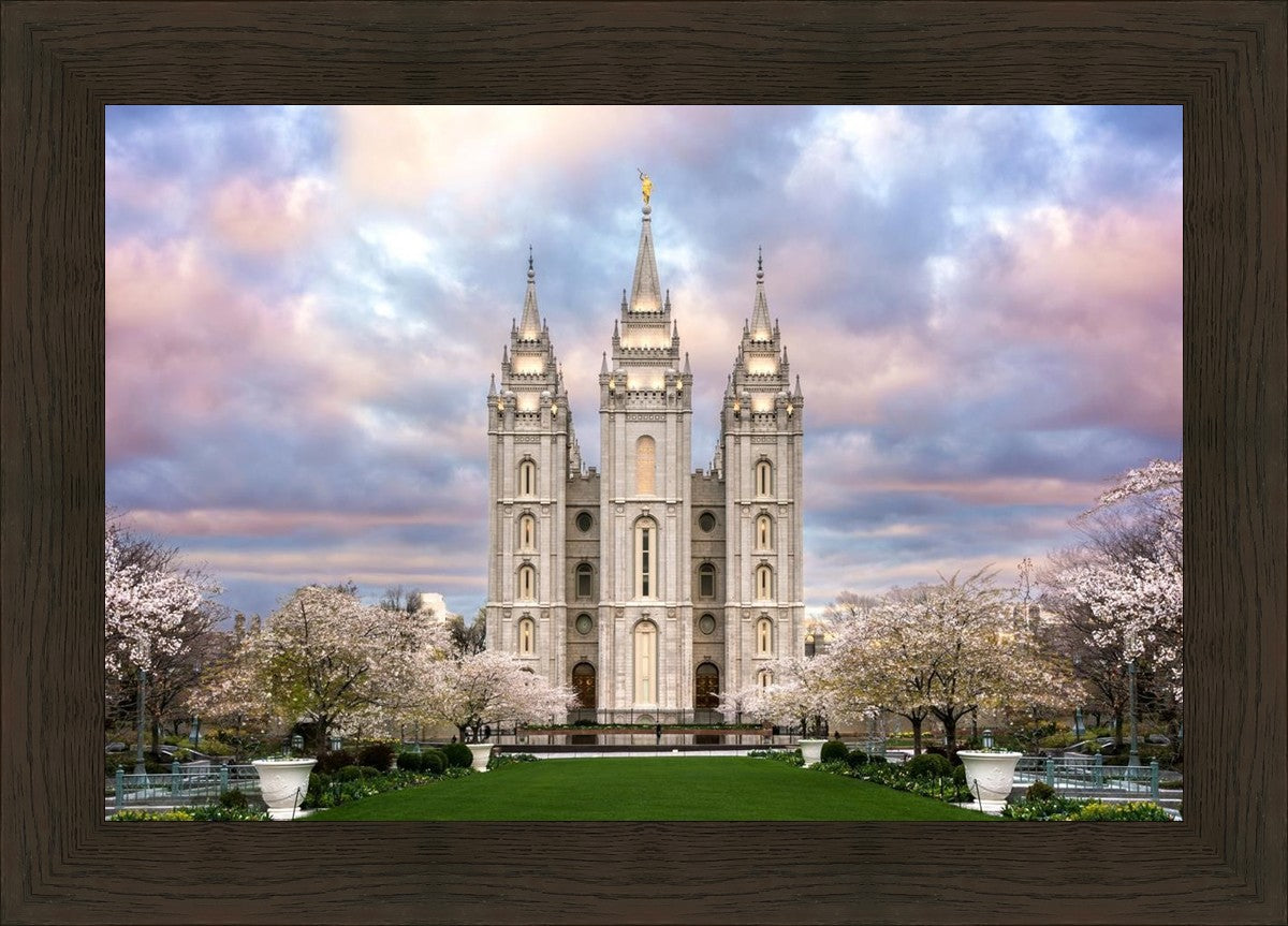 Salt Lake a Glimpse of Heaven