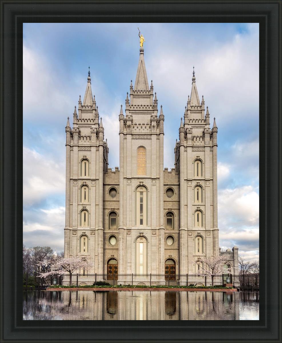 Salt Lake Reflecting Eternity