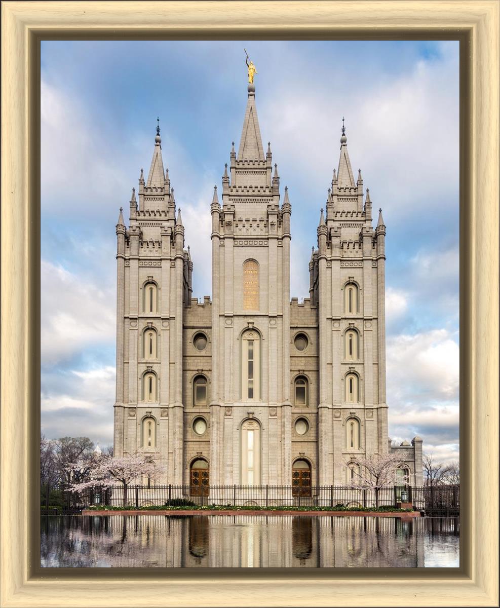 Salt Lake Reflecting Eternity
