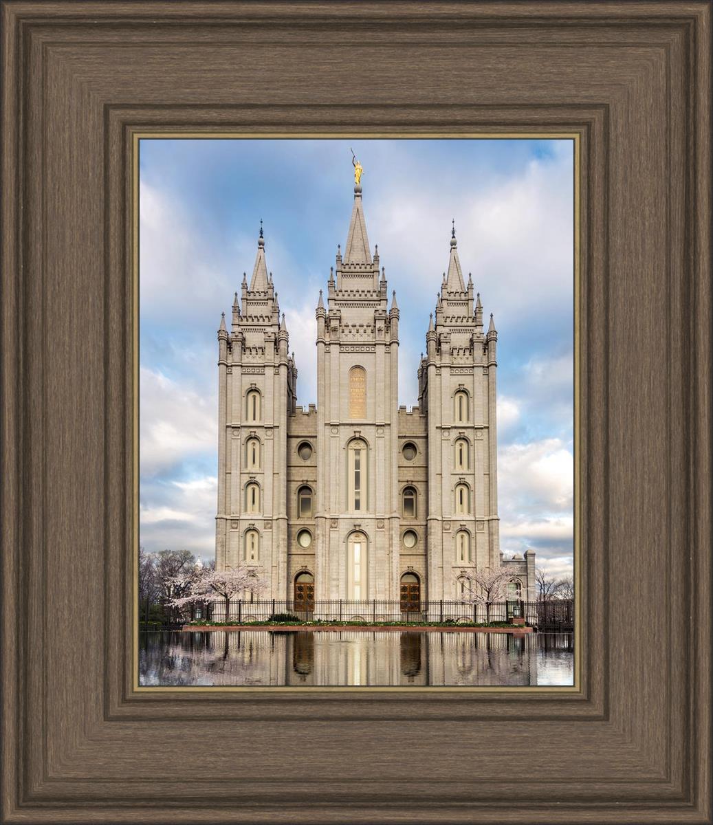 Salt Lake Reflecting Eternity