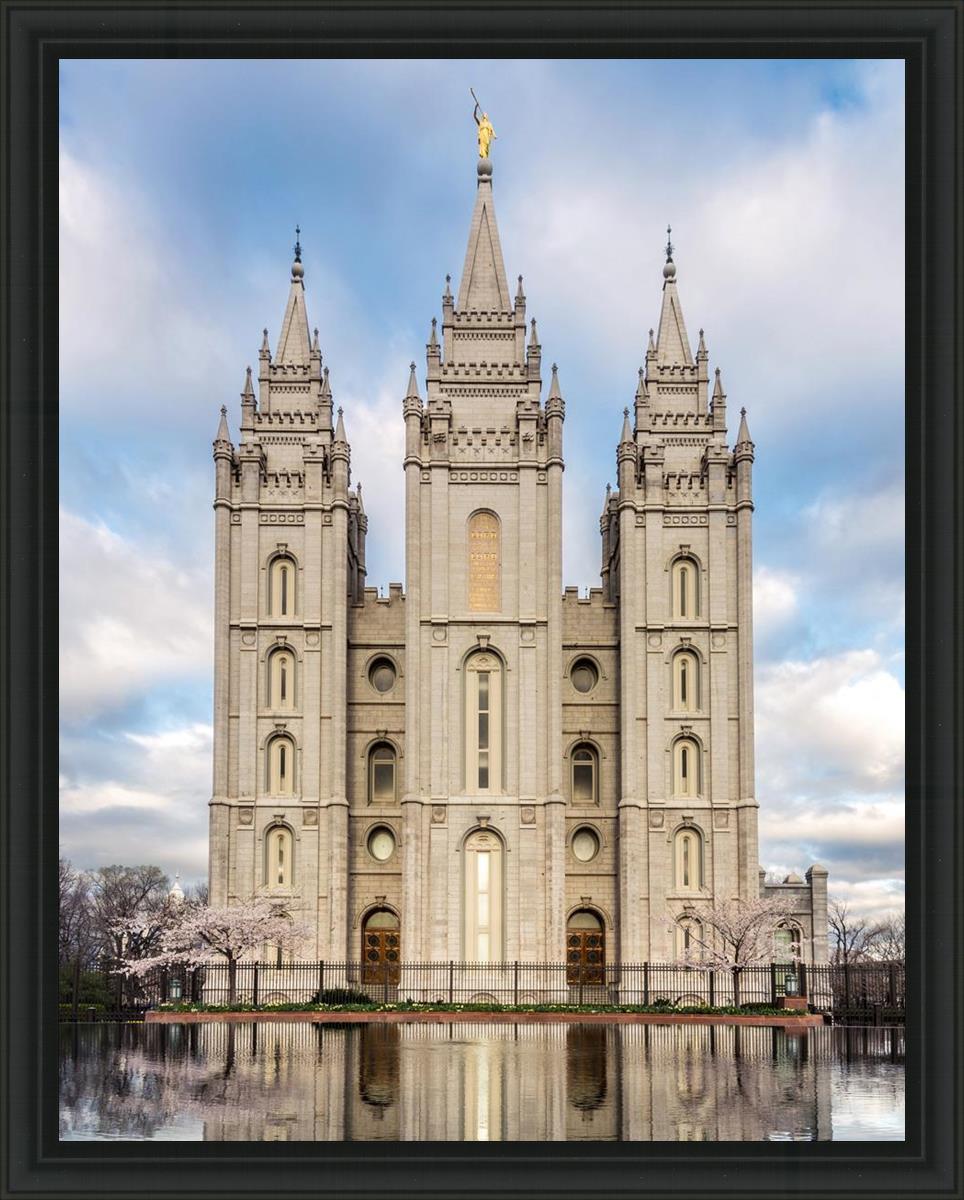 Salt Lake Reflecting Eternity
