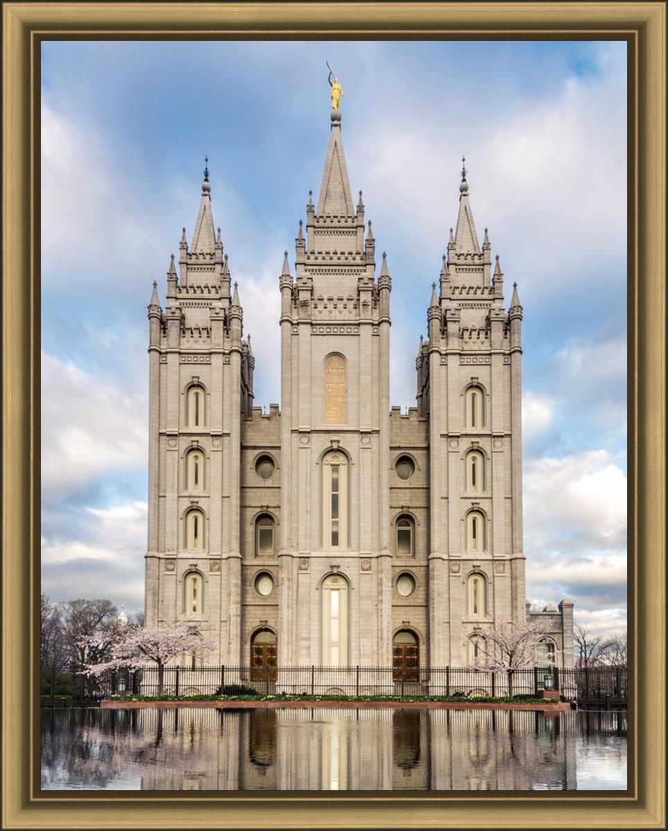 Salt Lake Reflecting Eternity
