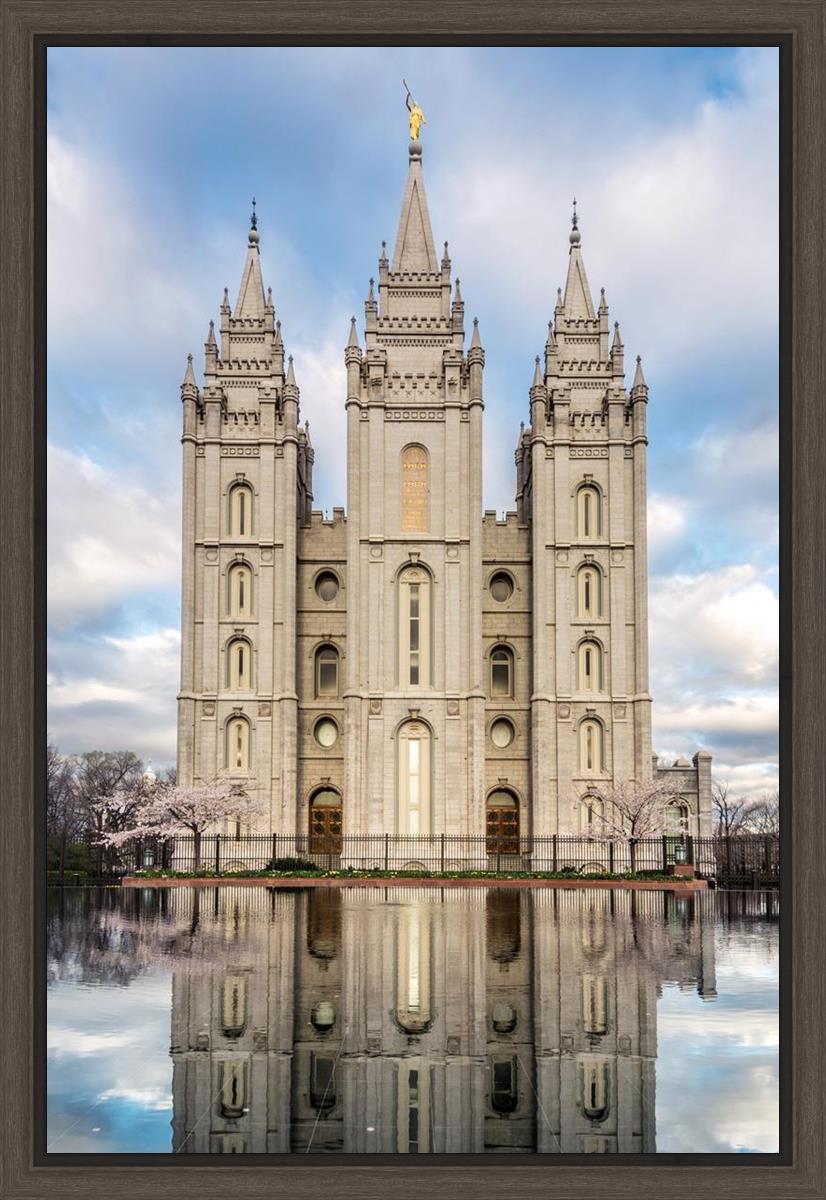 Salt Lake Reflecting Eternity