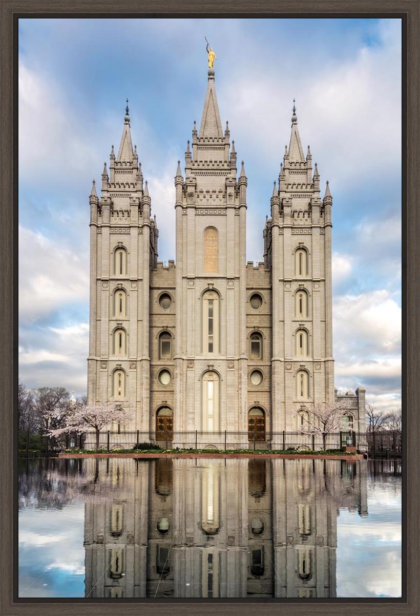 Salt Lake Reflecting Eternity