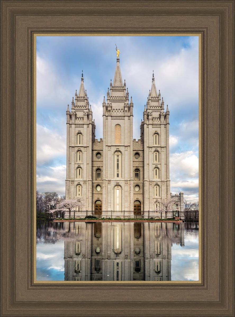 Salt Lake Reflecting Eternity