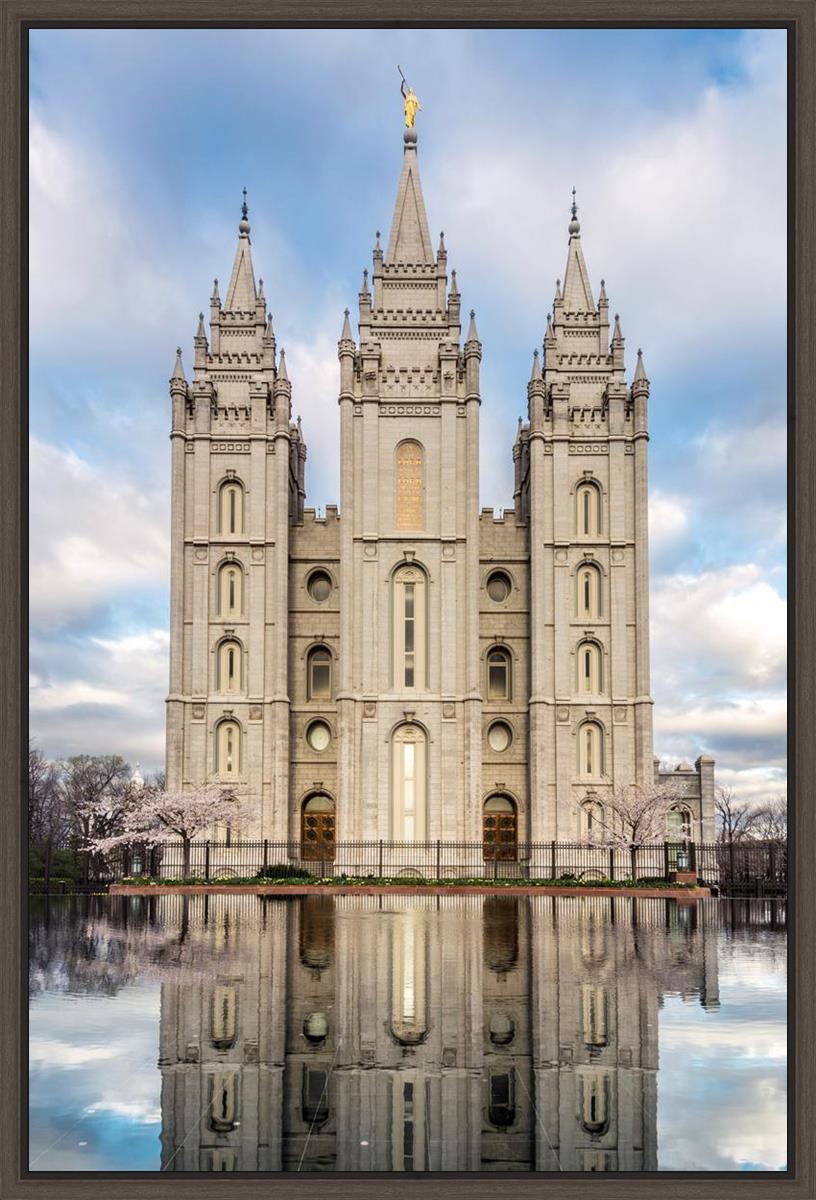 Salt Lake Reflecting Eternity