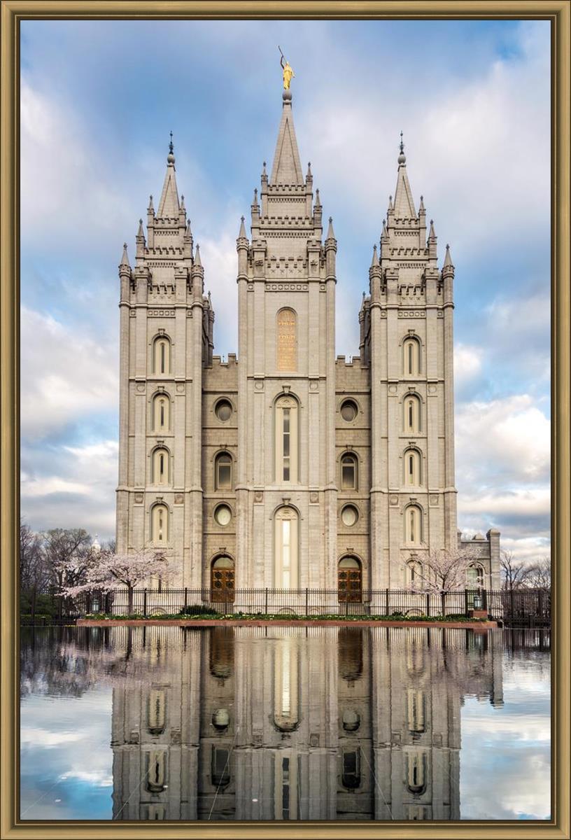 Salt Lake Reflecting Eternity