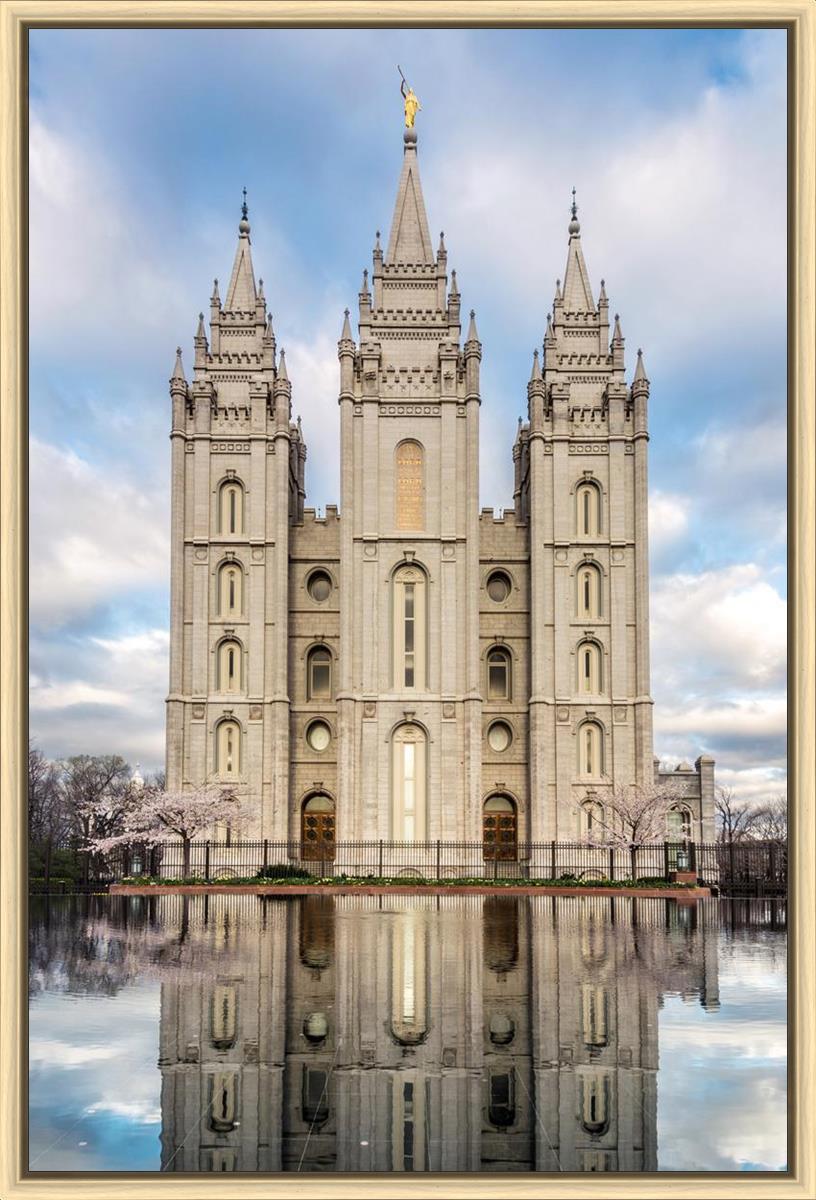 Salt Lake Reflecting Eternity