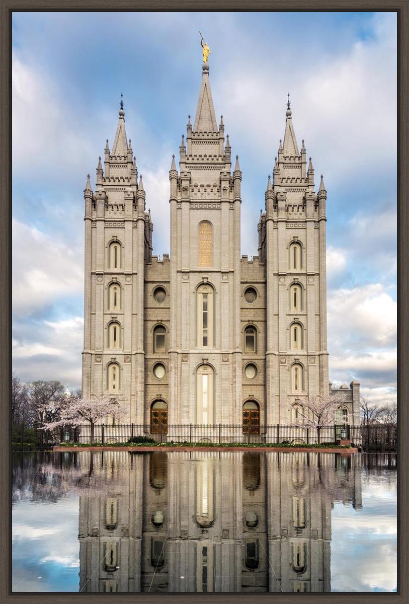 Salt Lake Reflecting Eternity