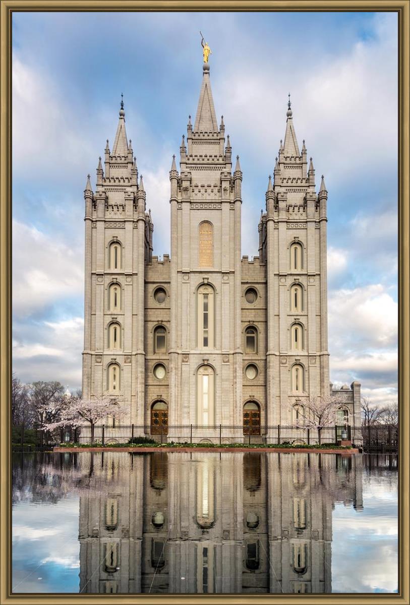 Salt Lake Reflecting Eternity