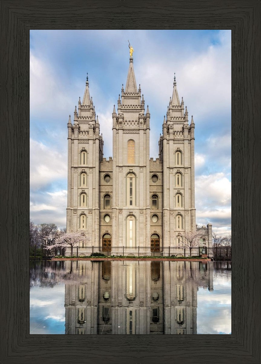 Salt Lake Reflecting Eternity