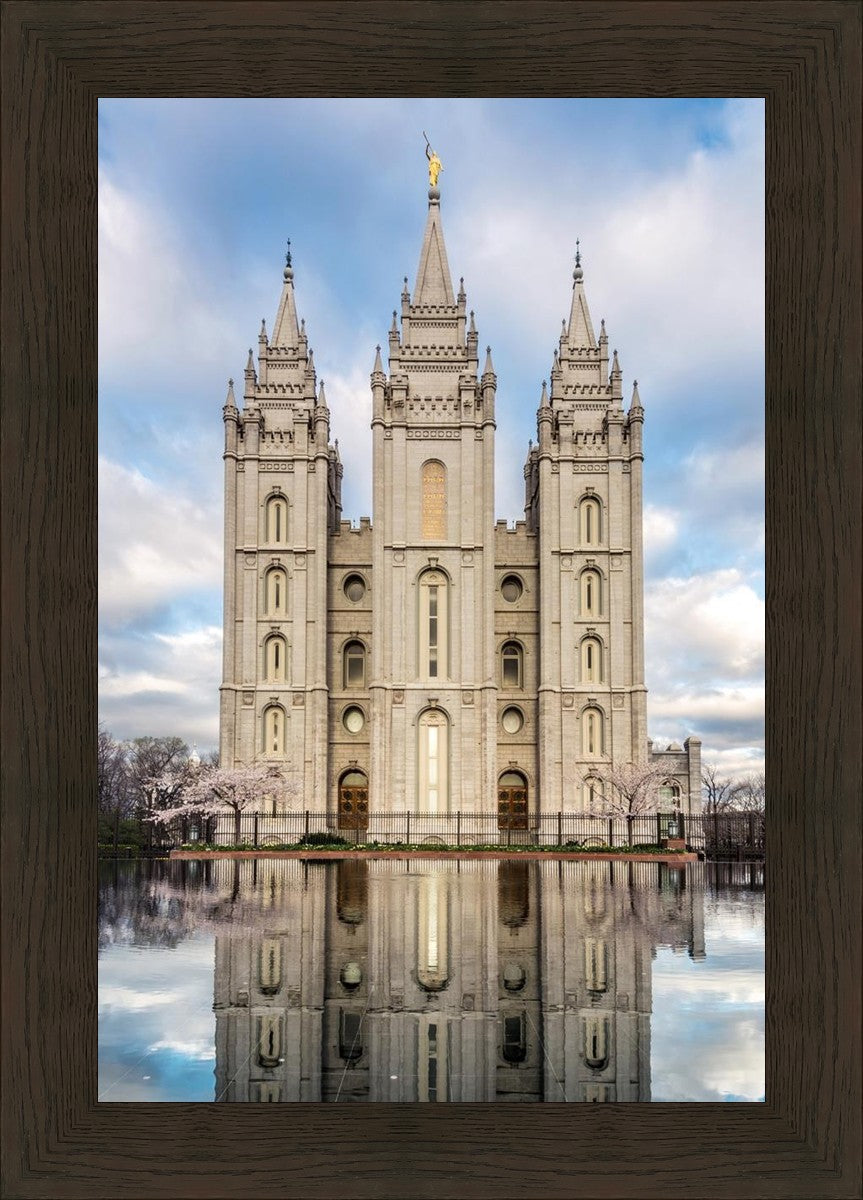 Salt Lake Reflecting Eternity
