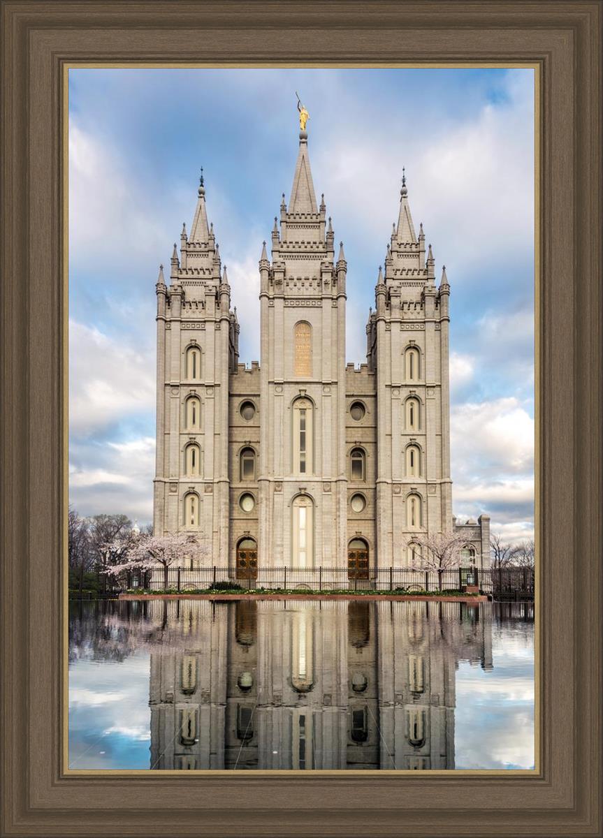 Salt Lake Reflecting Eternity