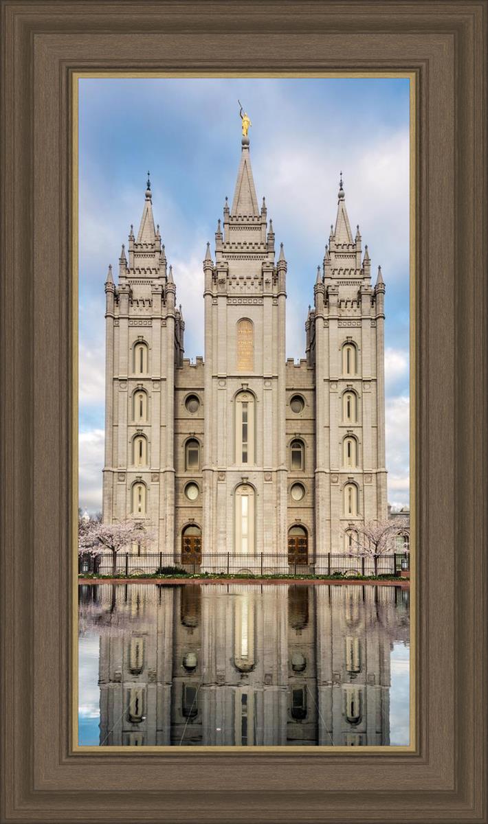 Salt Lake Reflecting Eternity