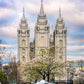 Salt Lake Temple Spring Fountain