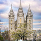 Salt Lake Temple Spring Fountain