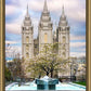 Salt Lake Temple Spring Fountain