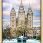 Salt Lake Temple Spring Fountain