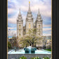 Salt Lake Temple Spring Fountain