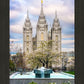 Salt Lake Temple Spring Fountain