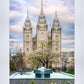Salt Lake Temple Spring Fountain