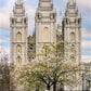 Salt Lake Temple Spring Fountain