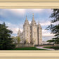 Salt Lake Temple Spring Serenity