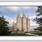 Salt Lake Temple Spring Serenity