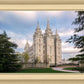 Salt Lake Temple Spring Serenity