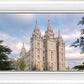 Salt Lake Temple Spring Serenity
