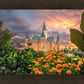Provo City Center Temple Orange Flowers