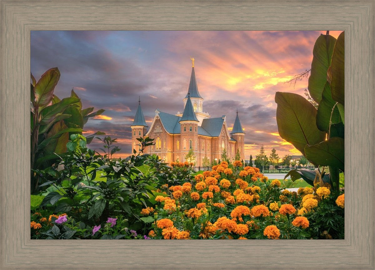 Provo City Center Temple Orange Flowers